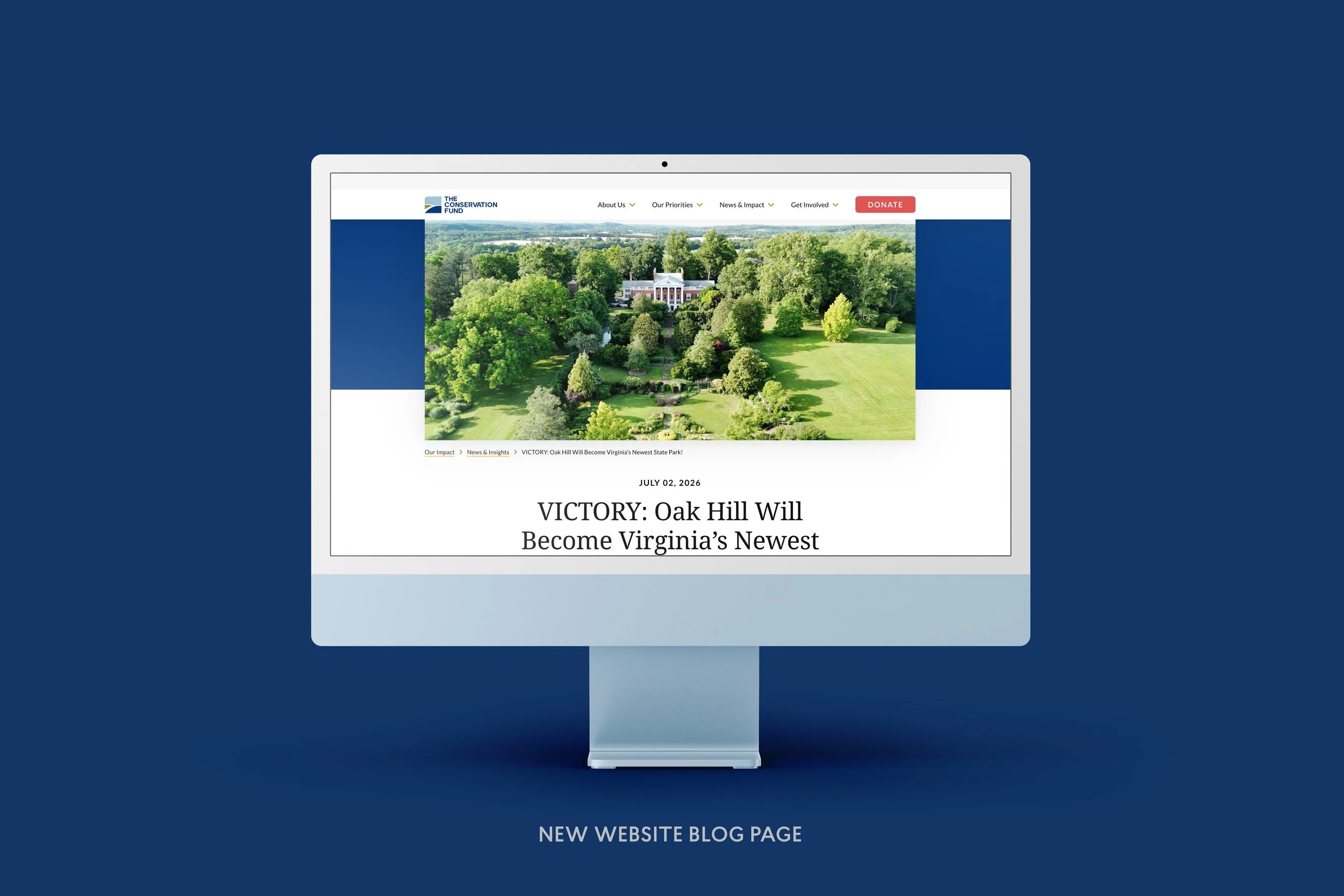 TCF-New-Website-Blog Page.jpg