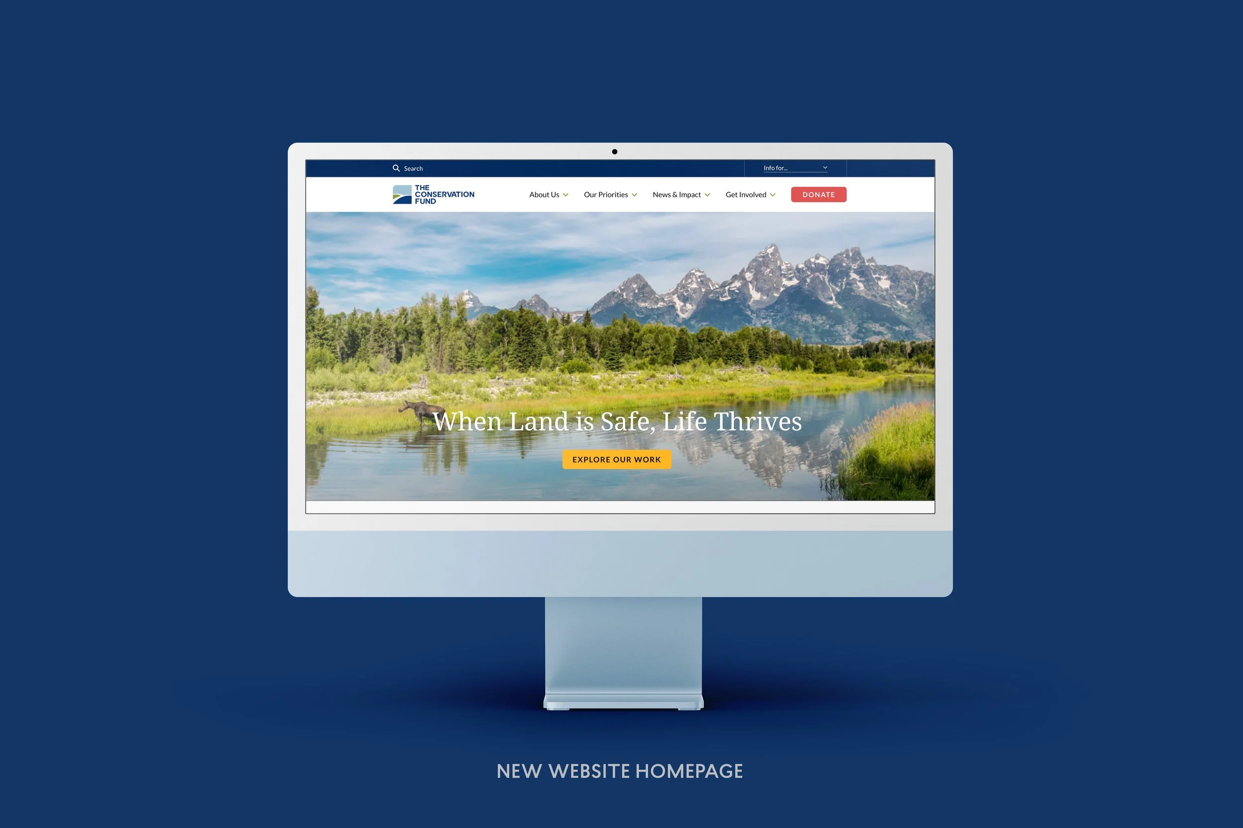 TCF-New-Website.jpg