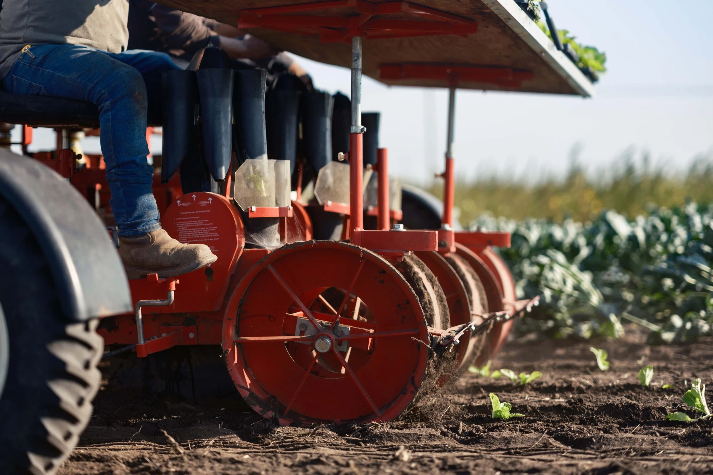 Farms Fund_Cloonlara_Rustic Road_IL_2025_175_(c)_JJN Multimedia.jpg