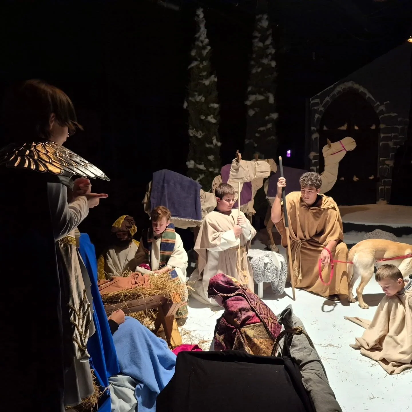 Merry Christmas.  Our Savior is Born.