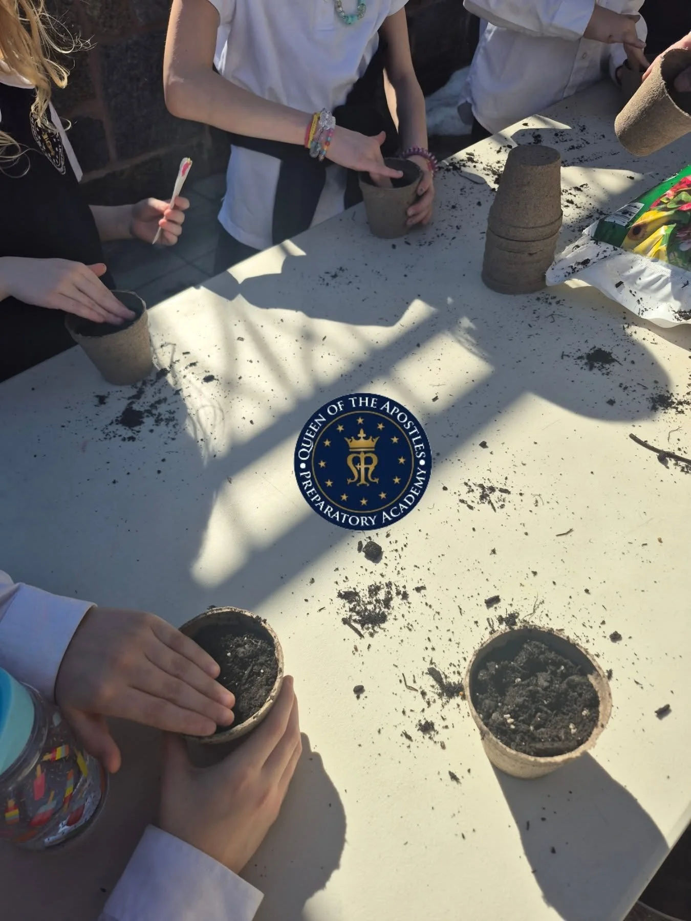 New sprouts, new life = Spring

#JOY, #learning, #nature, #God