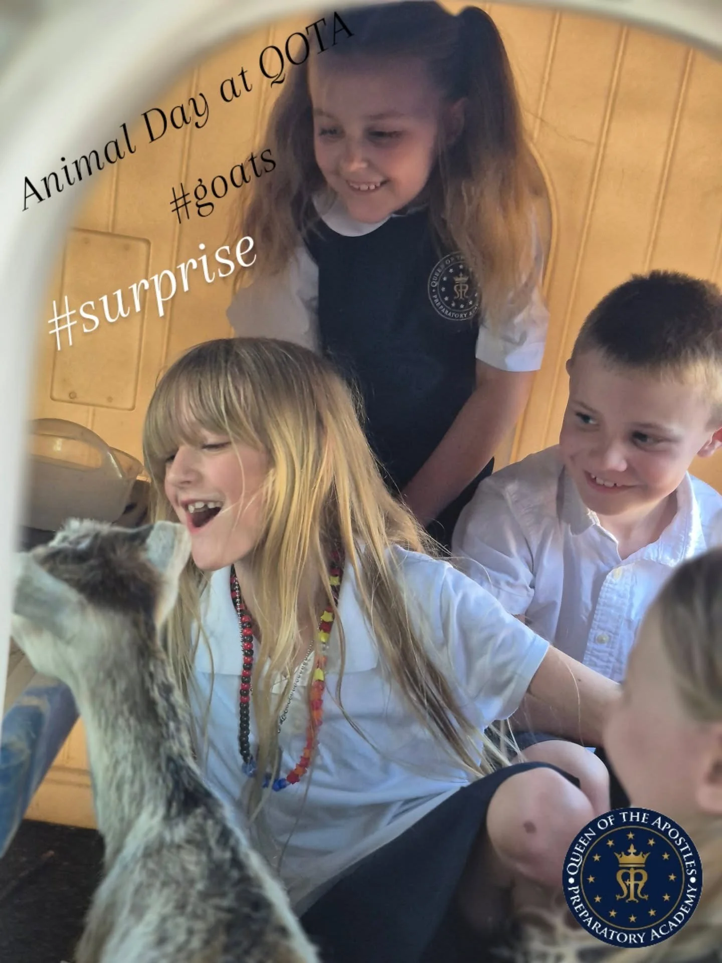 What a special day! Today was Animal Day at QOTA. 
The goats were welcomed by all.

Thank you to our parent volunteers that made this possible. 

#goats, #QOTA
