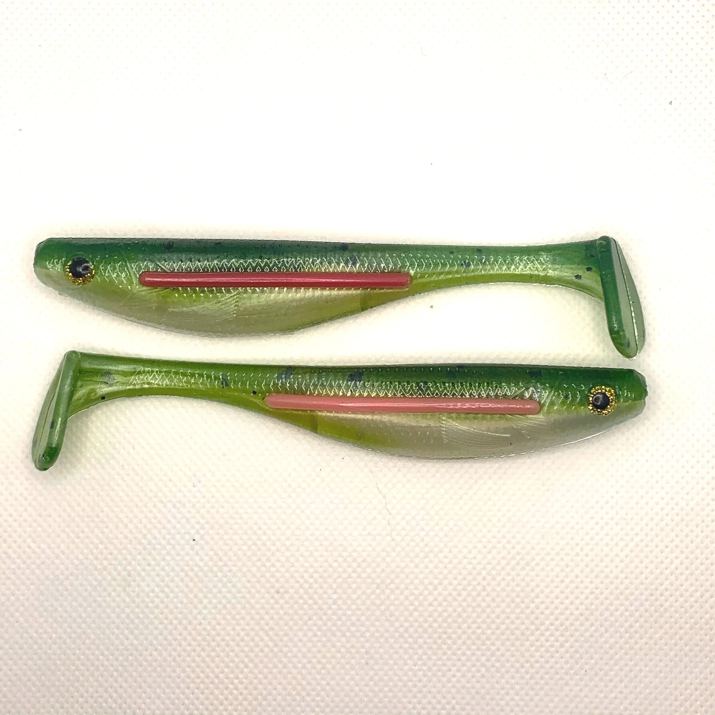 Rainbow Trout