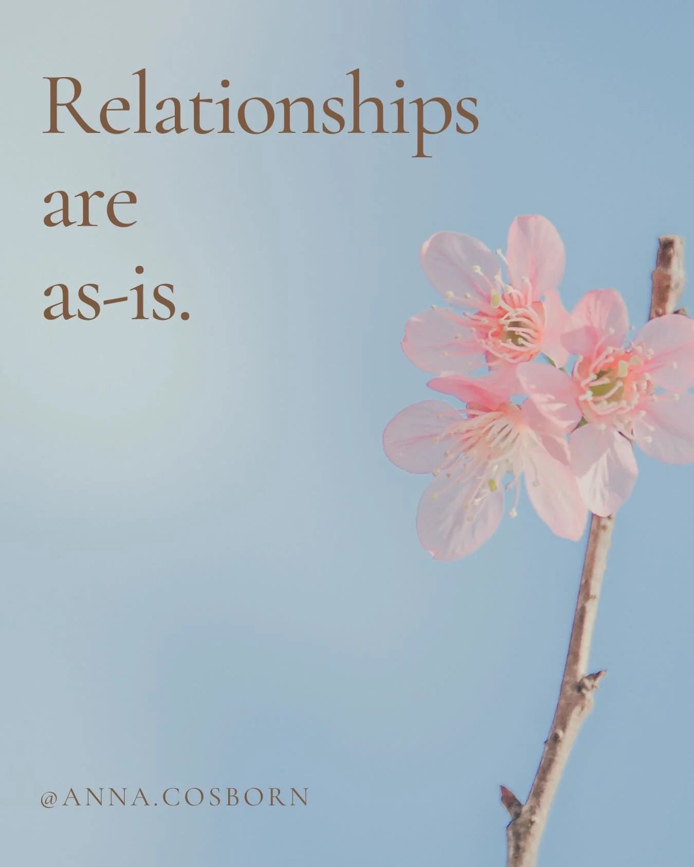 I was watching a show the other day and one of the individuals commented about the fact that relationships are as-is and the simplicity of it really made me pause.⁣
⁣
Relationships really are as-is.⁣
⁣
The complimentary differences you had at the beg
