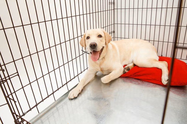 BOARD | TRAINING: MONTHLY