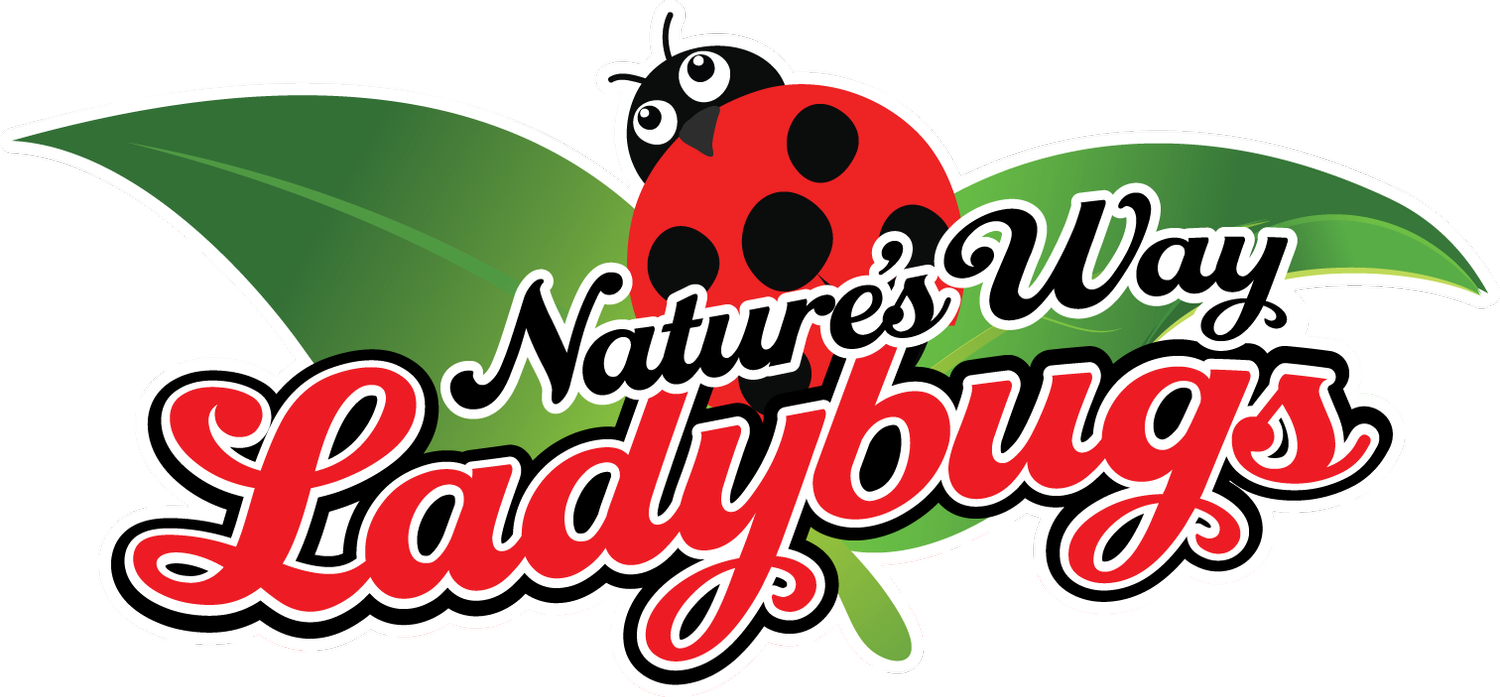 Nature's Way Ladybugs