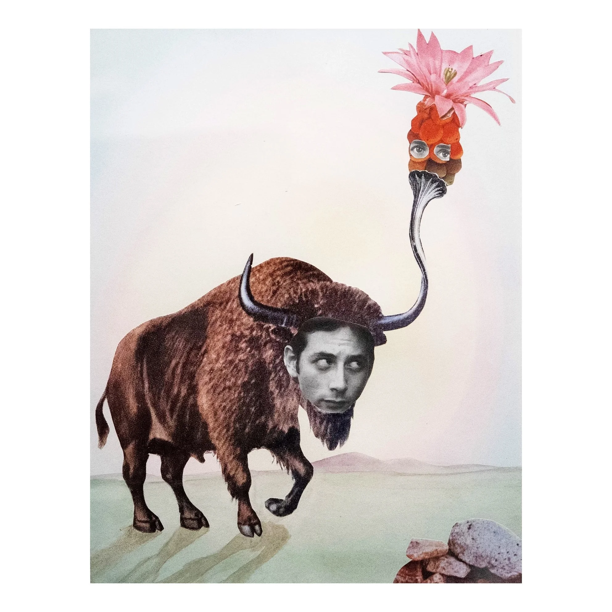 Suzanne Sbarge, Extinct Buffalo