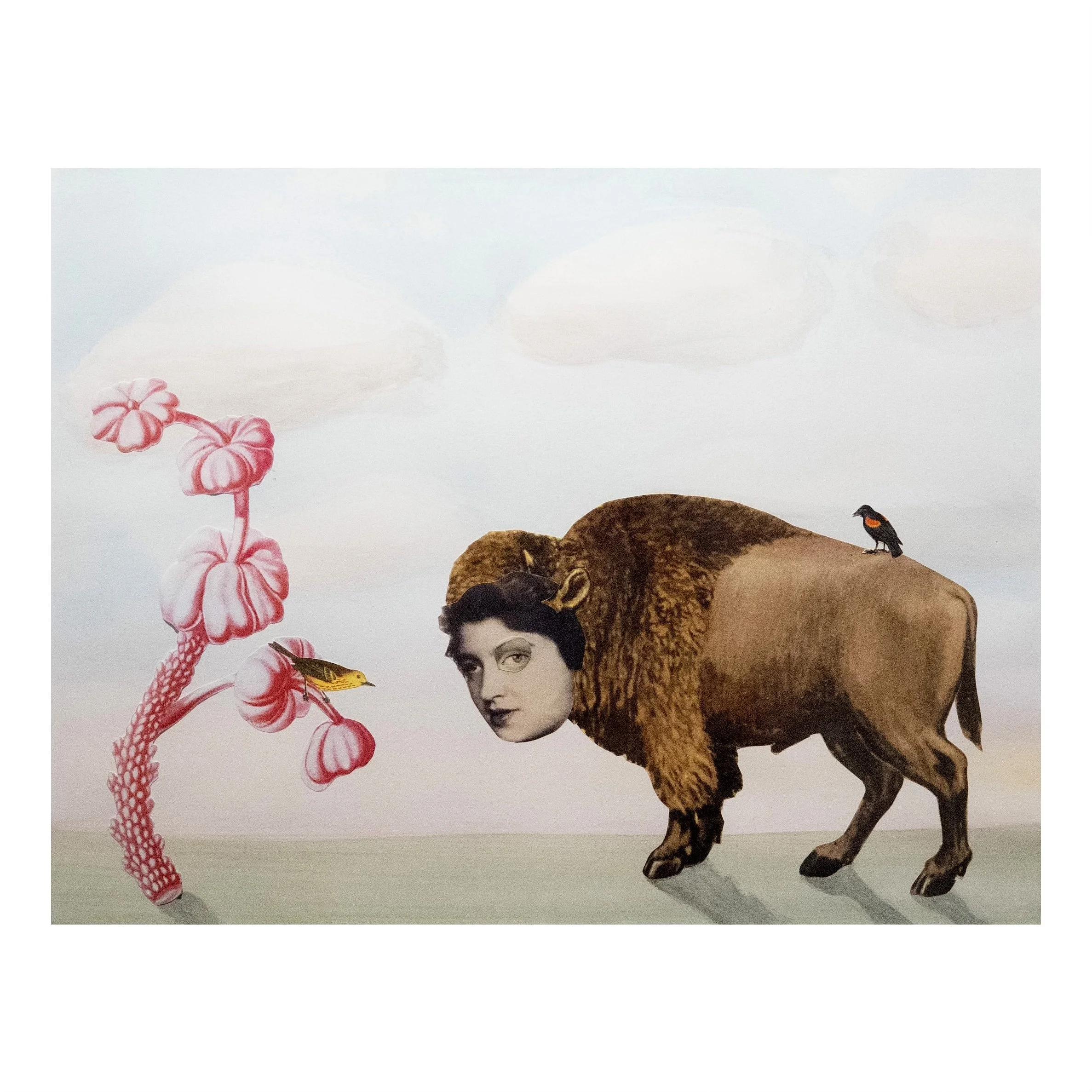 Bison with Birds, Suzanne Sbarge, Gallery Hozho, squared.jpg