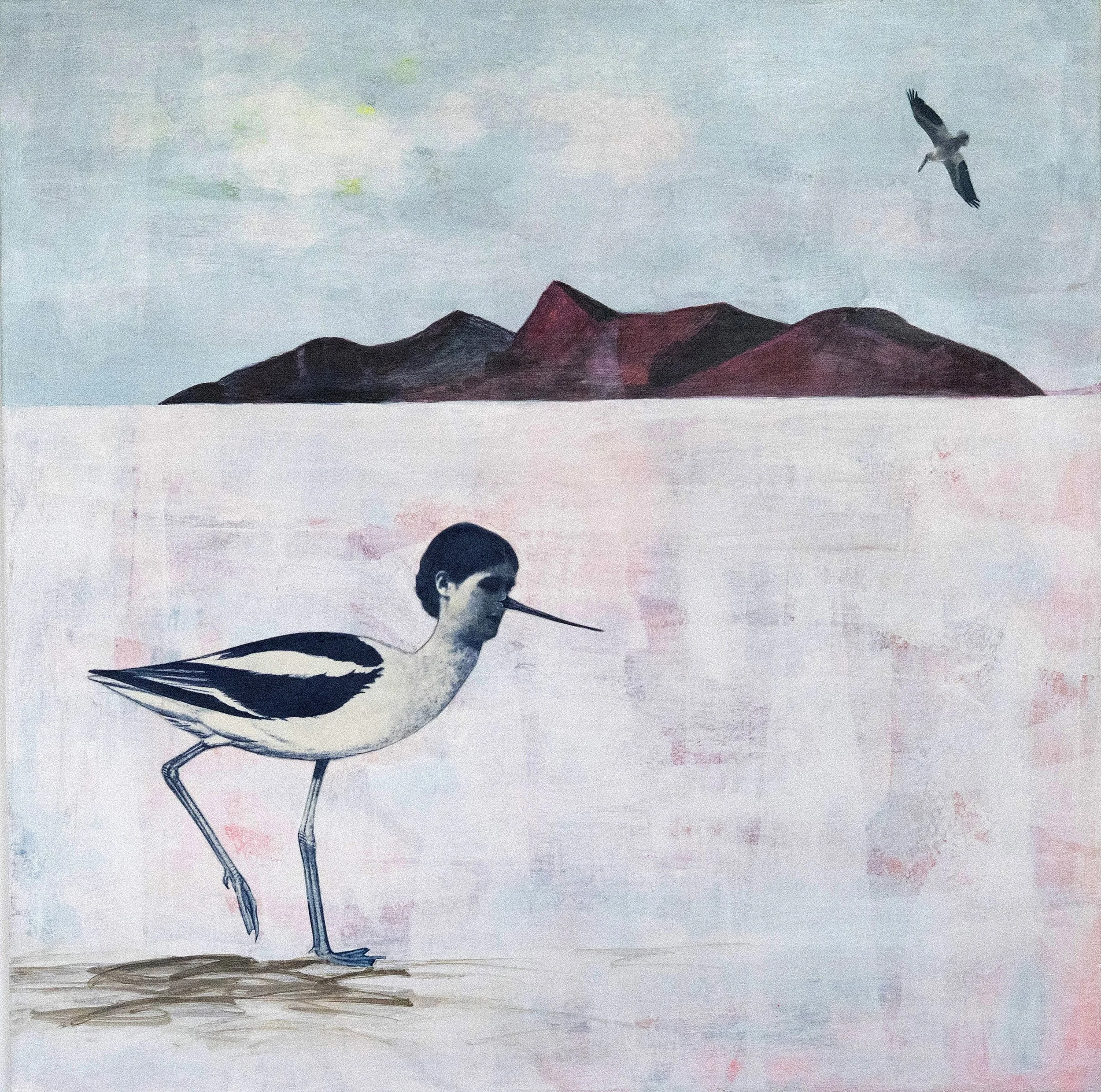 4_Suzanne Sbarge_Avocet_2025_mixed media on panel_30x30.jpg