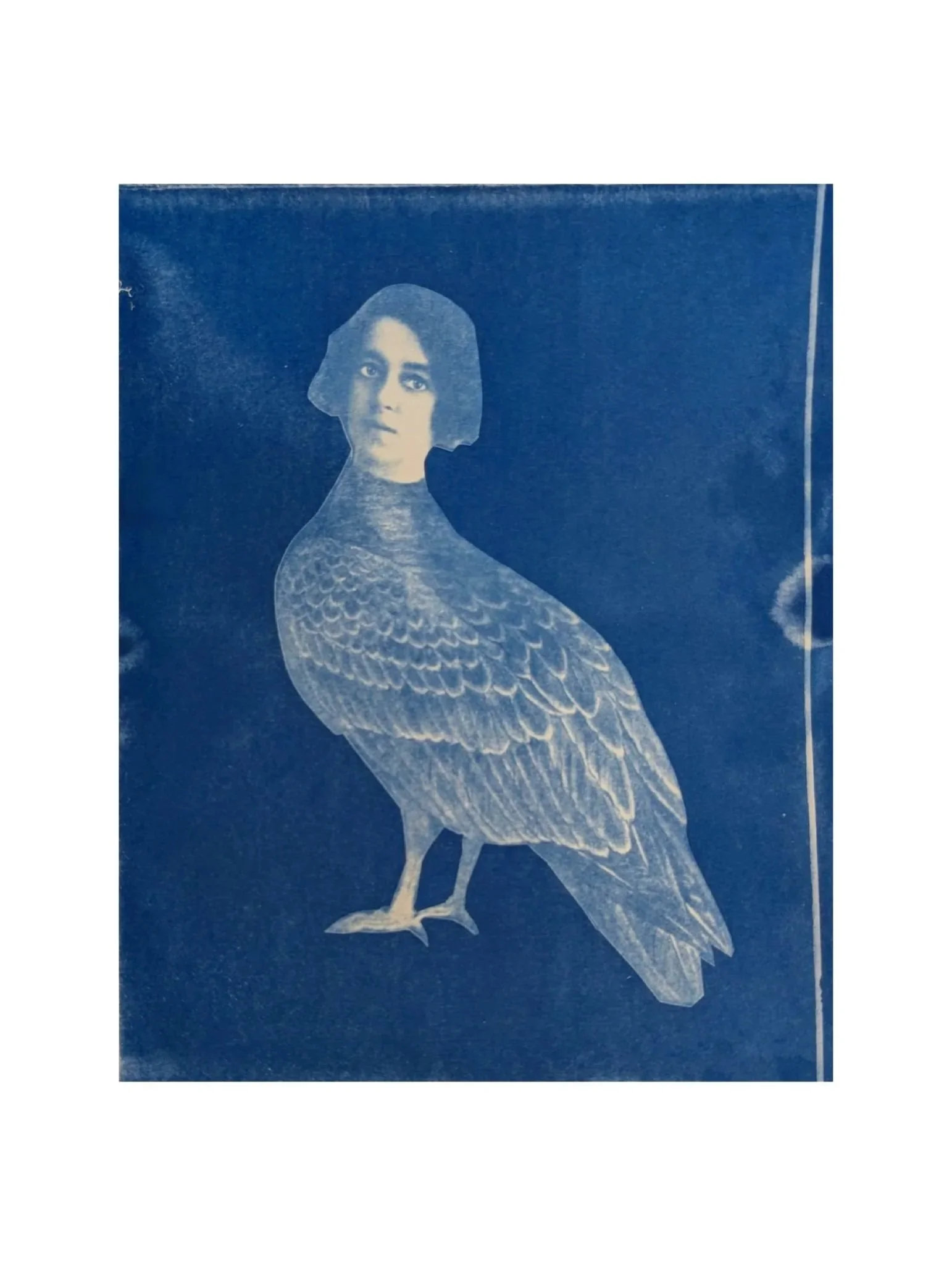Turkey+Vulture%2C+Suzanne+Sbarge%2C+Gallery+Hozho.jpg