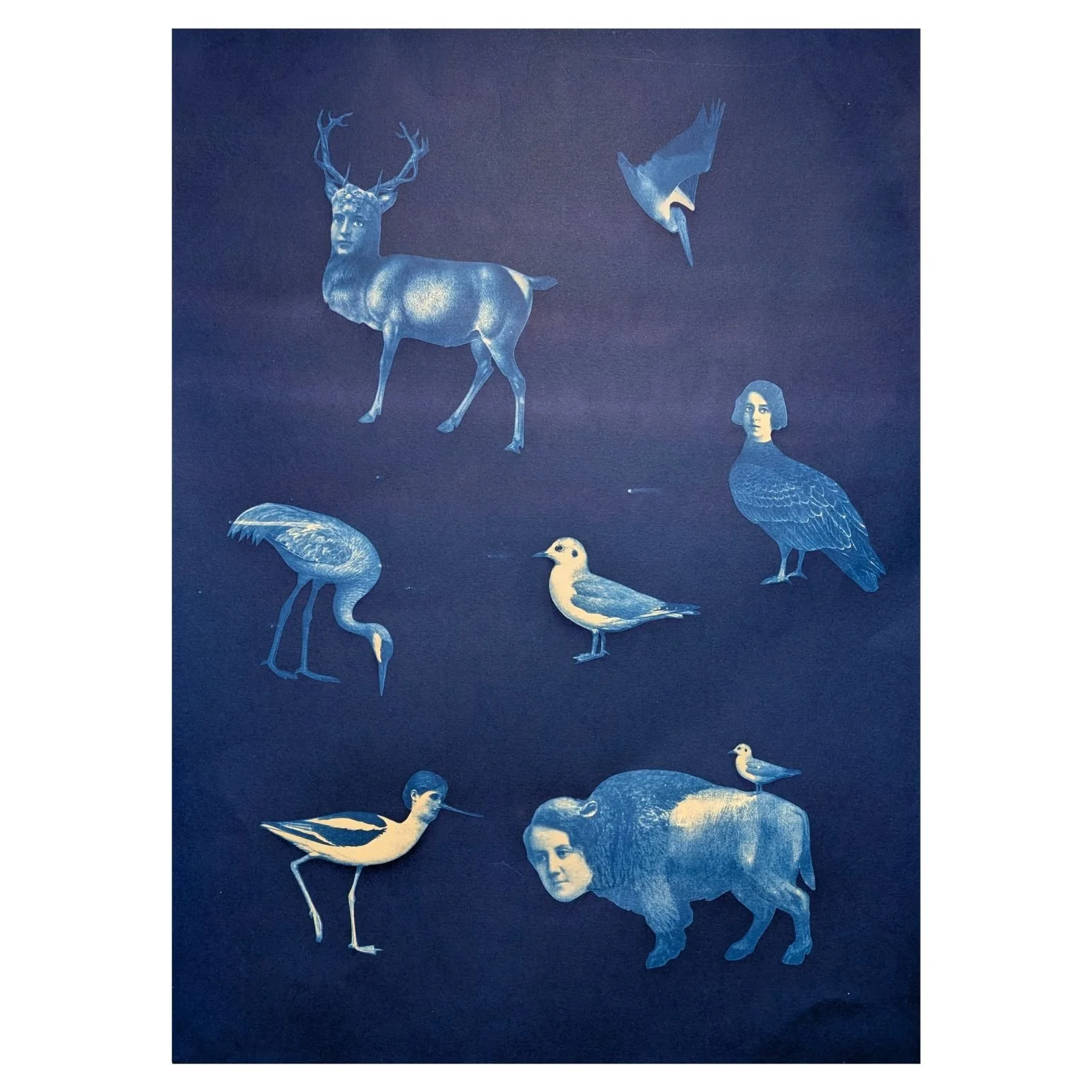 Specimens, Suzanne Sbarge, Gallery Hozho, square.jpg (Copy)