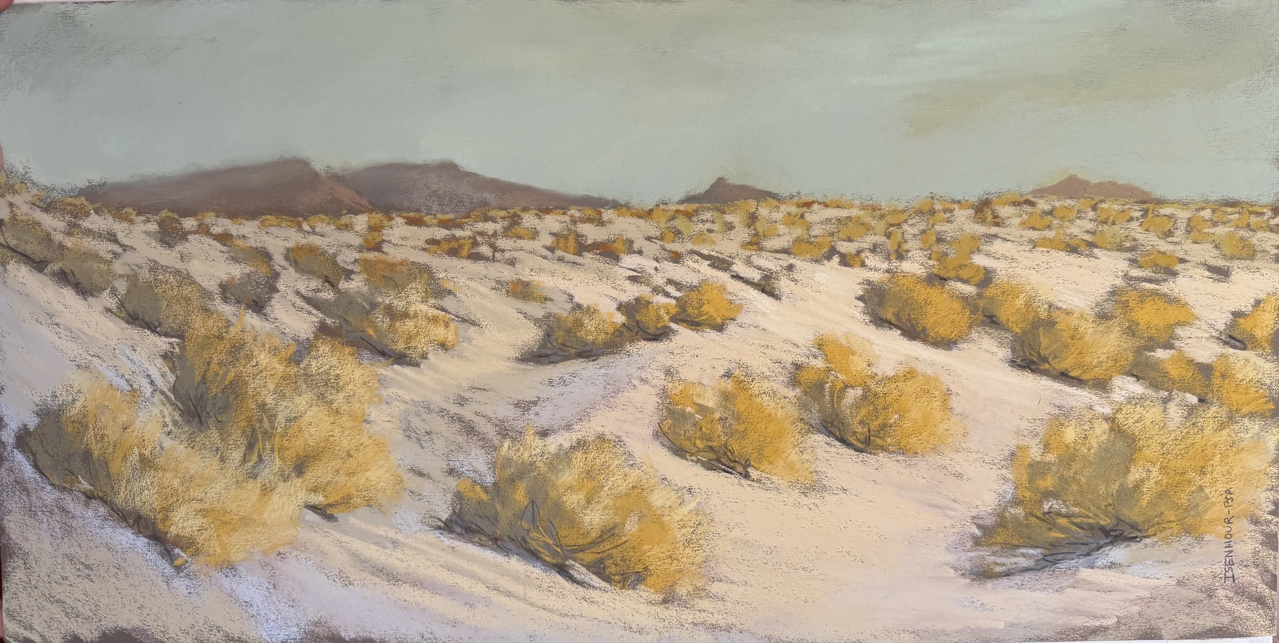 Desert Mystic, Natasha Isenhour, Gallery Hozho.jpeg (Copy)