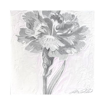 Only a Piece no2, Alex Pena (dpi 72) Gallery Hozho.jpg