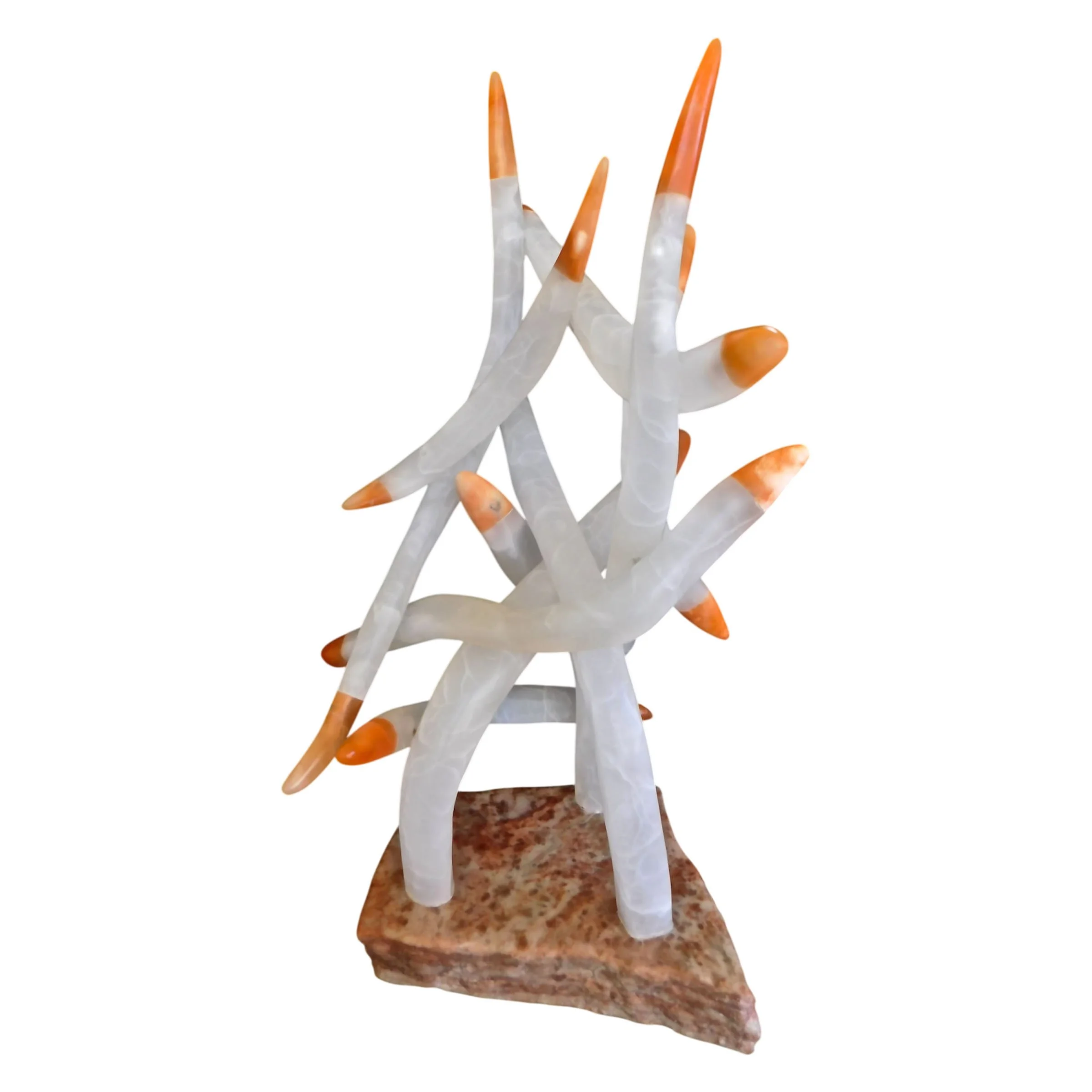 Go Negative Or Not, Mark Feldman (dpi 72) Gallery Hzoho.jpg