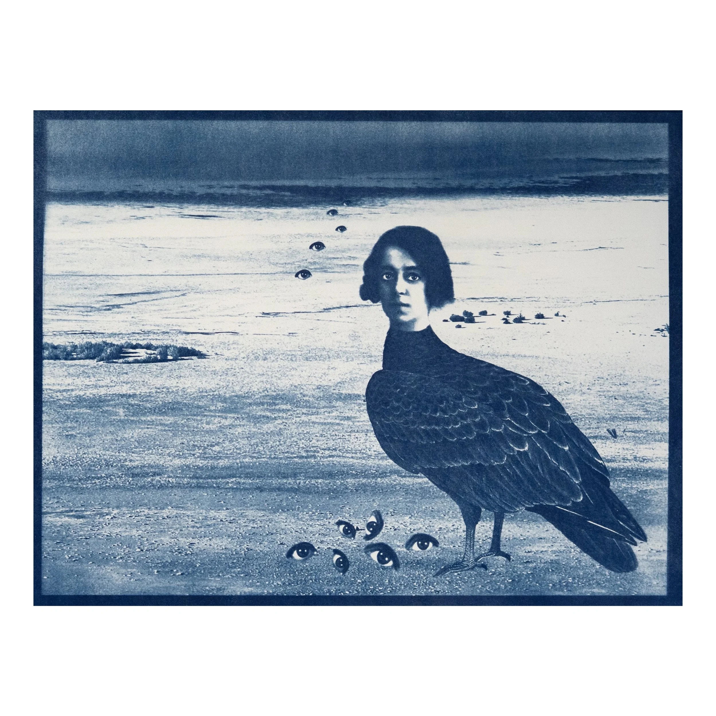 Turkey Vulture, Suzanne Sbarge, Gallery Hozho, squared.jpg
