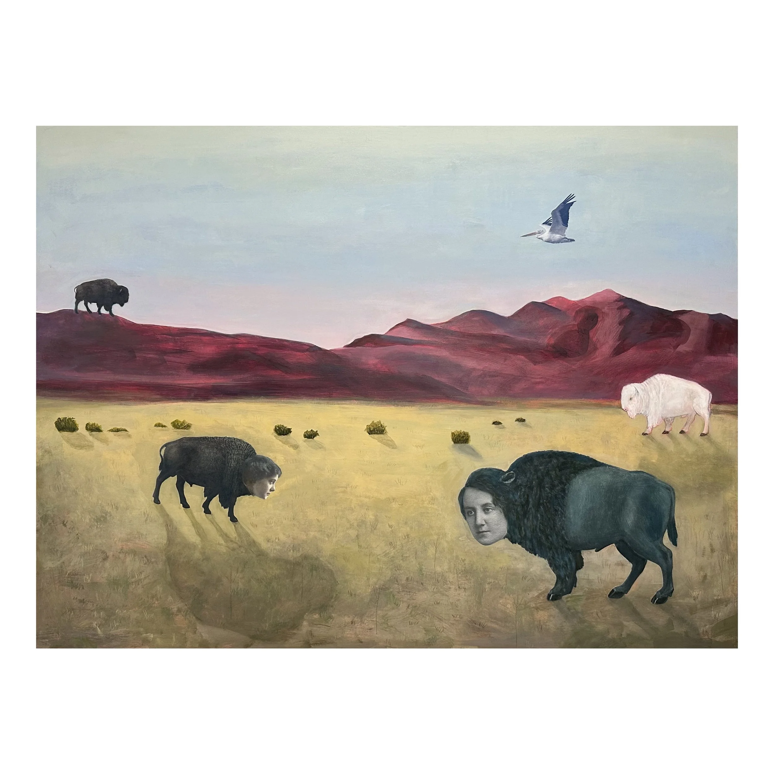 Suzanne Sbarge, Herd