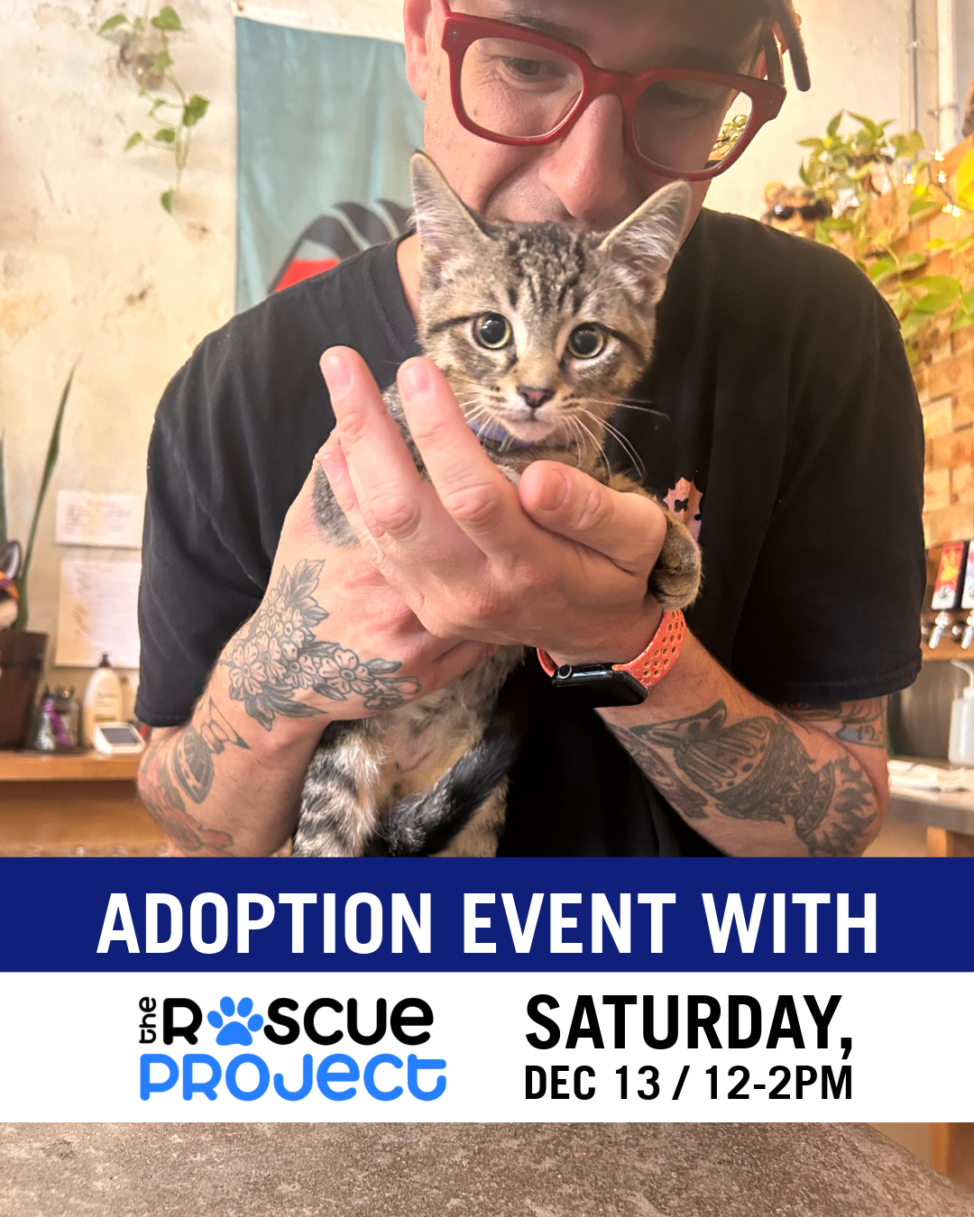 KITTENS &amp; PUPPIES Adoption Event with The Rescue Project