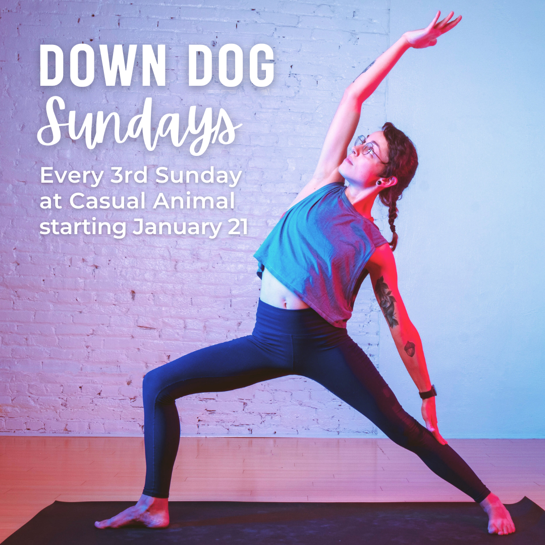 Down Dog Yoga — Casual Animal Brewing Co.
