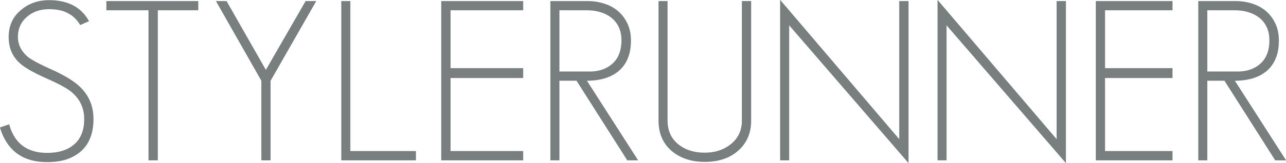 Logo-Stylerunner-Final_Grey.jpeg