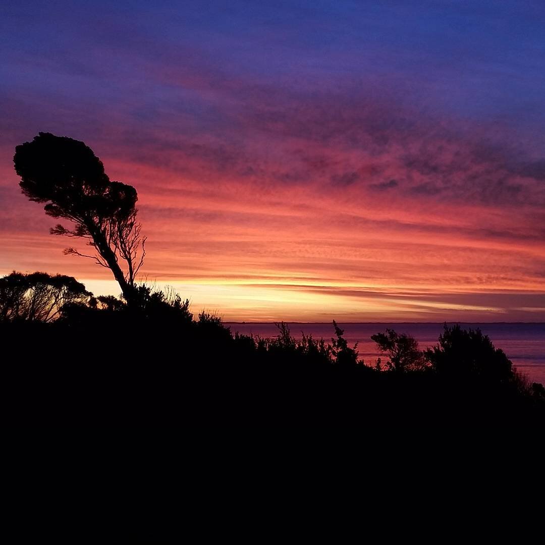 Perfect night for a picnic on the rocks at Mount Martha with Jac.