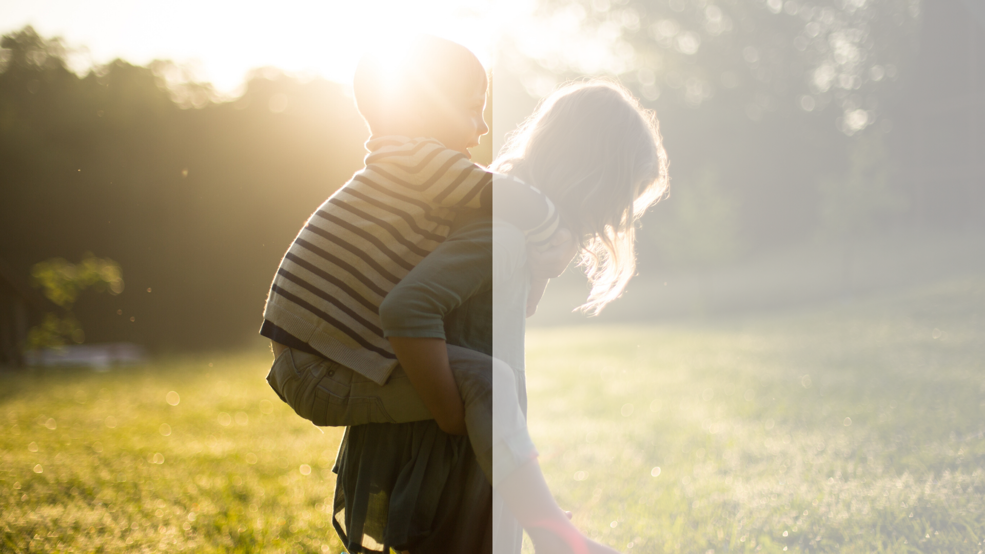 Treehouse Innovative Families & Ladybug Counselling