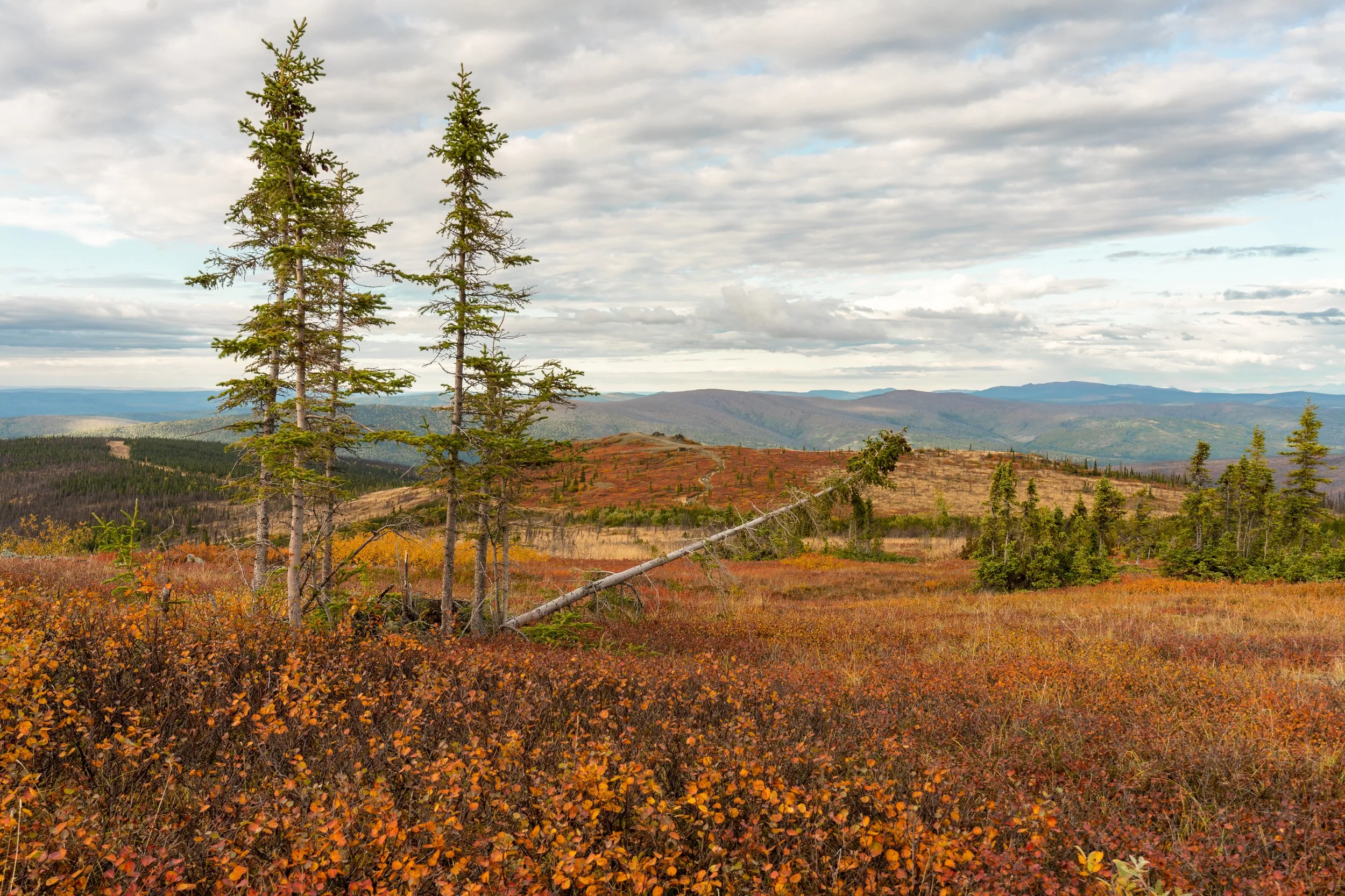 _DSC6956-HDR.jpg
