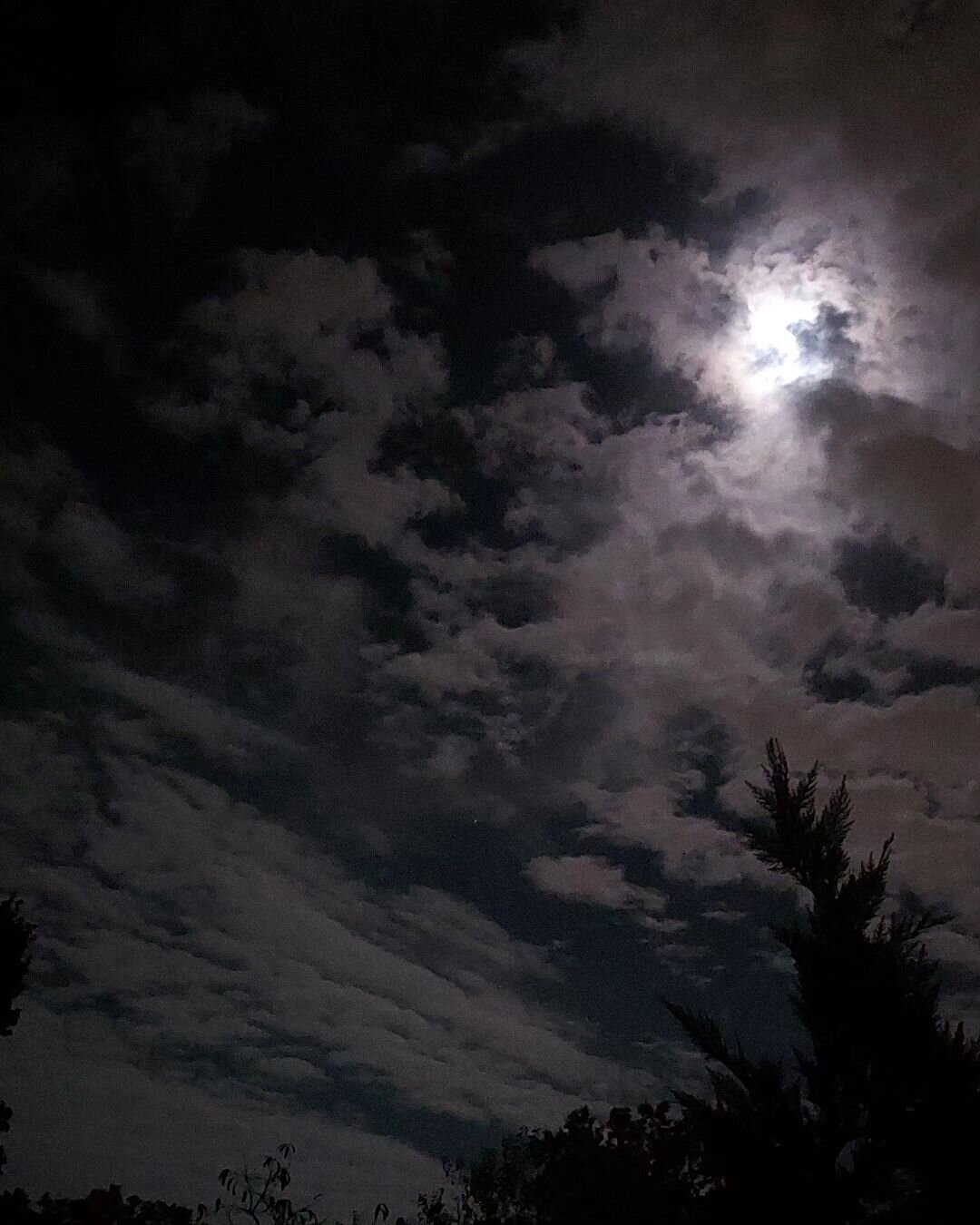 Night sky during the full moon
#photooftheday