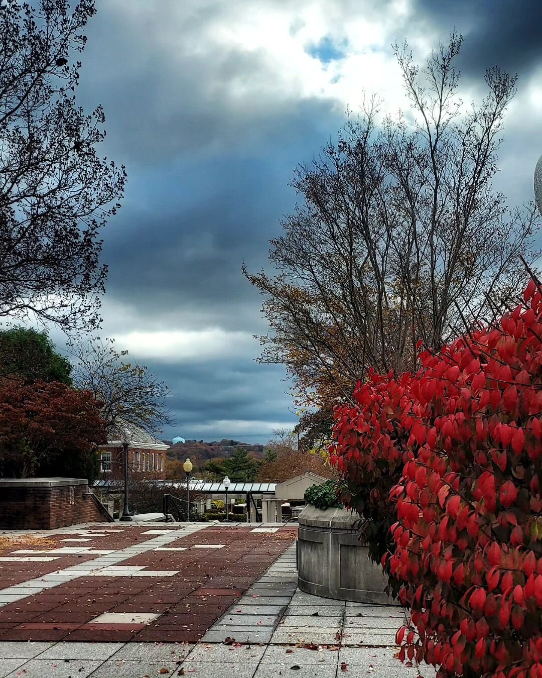 Ominous fall sky 
#photooftheday #naturephotography #landscape