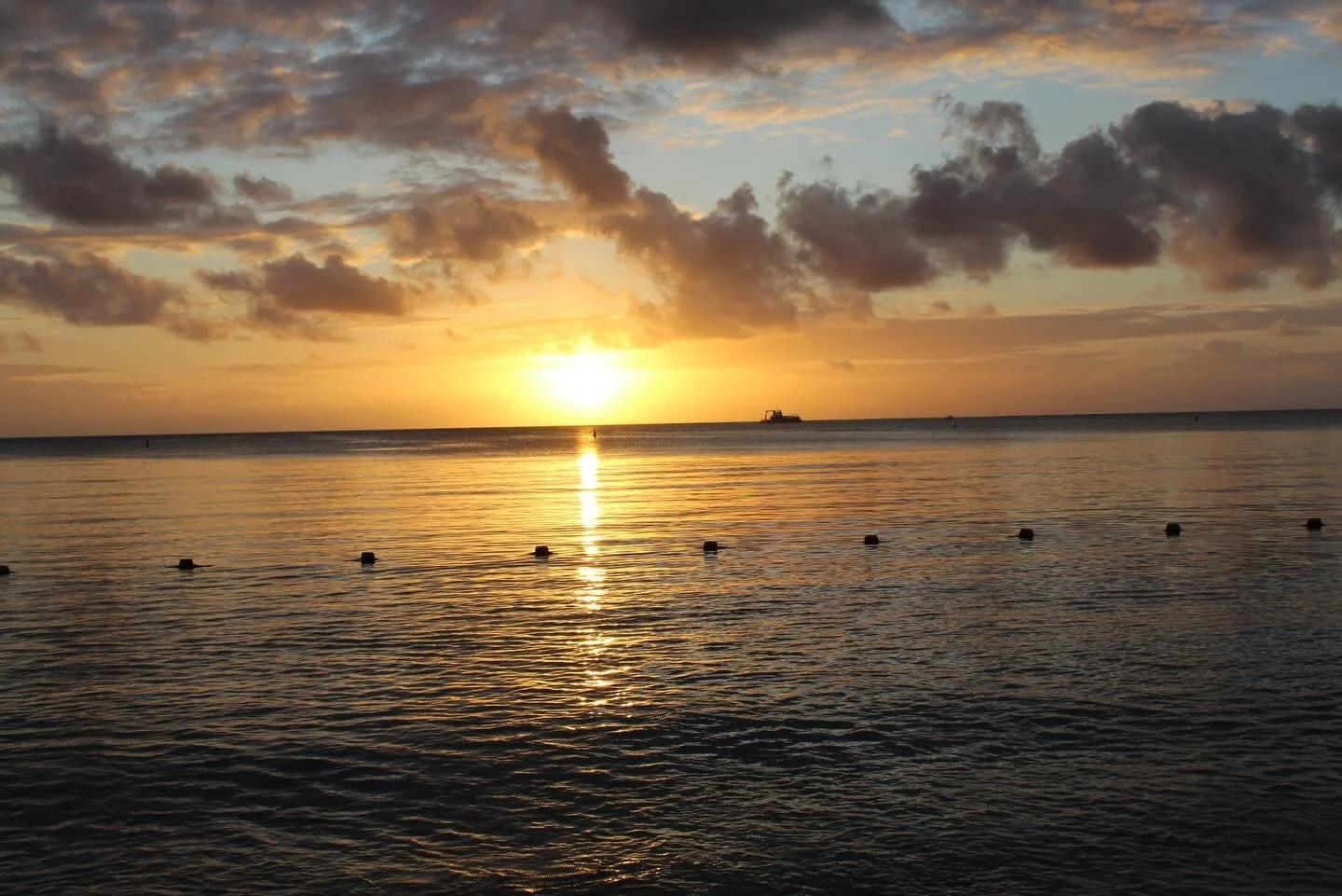 Circadian Rhythm 🌒 🌞 
Are you choosing to align with Nature&rsquo;s cycles or are you resisting AGAINST nature? 

Most health issues are from disconnection with nature and its cycles. 

The disconnect causes inflammation in the body. 

If you&rsquo