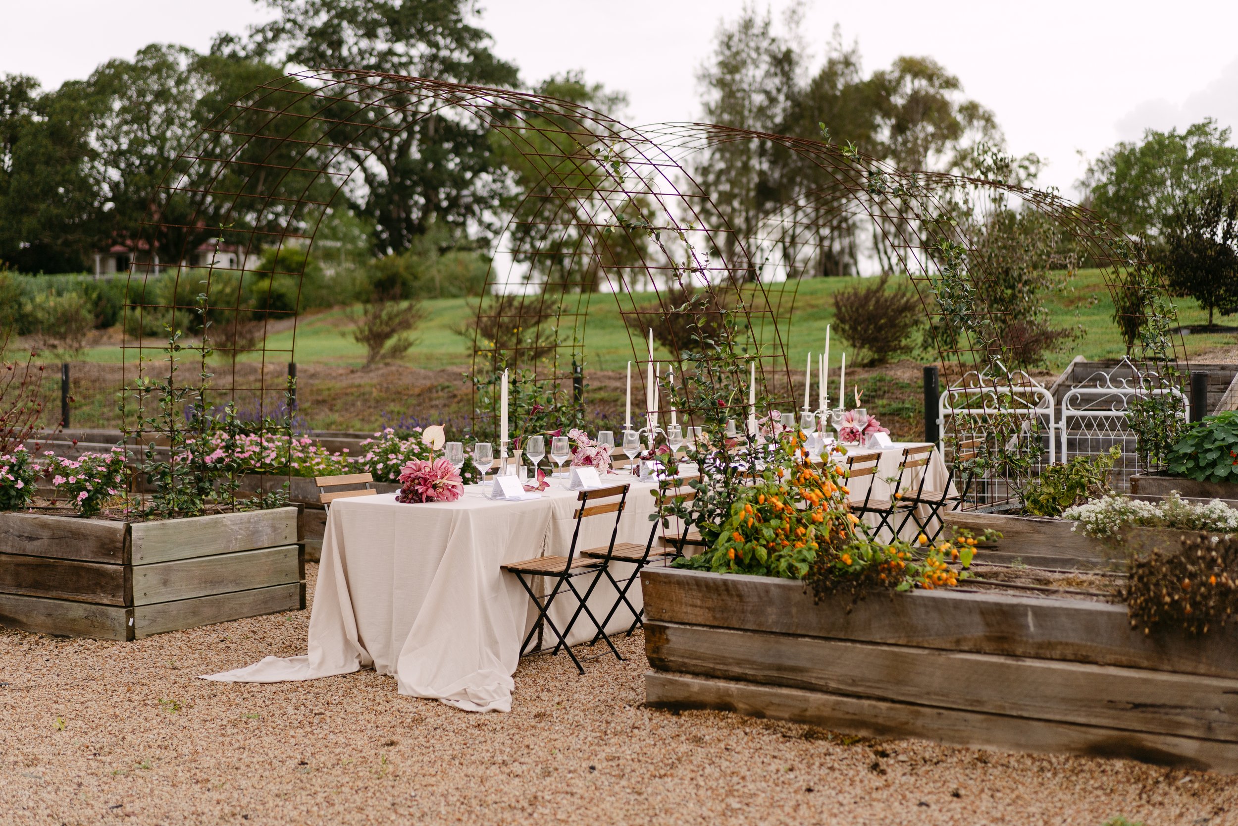 n&mbyAlyssaWashingtonPhotography-89.jpg