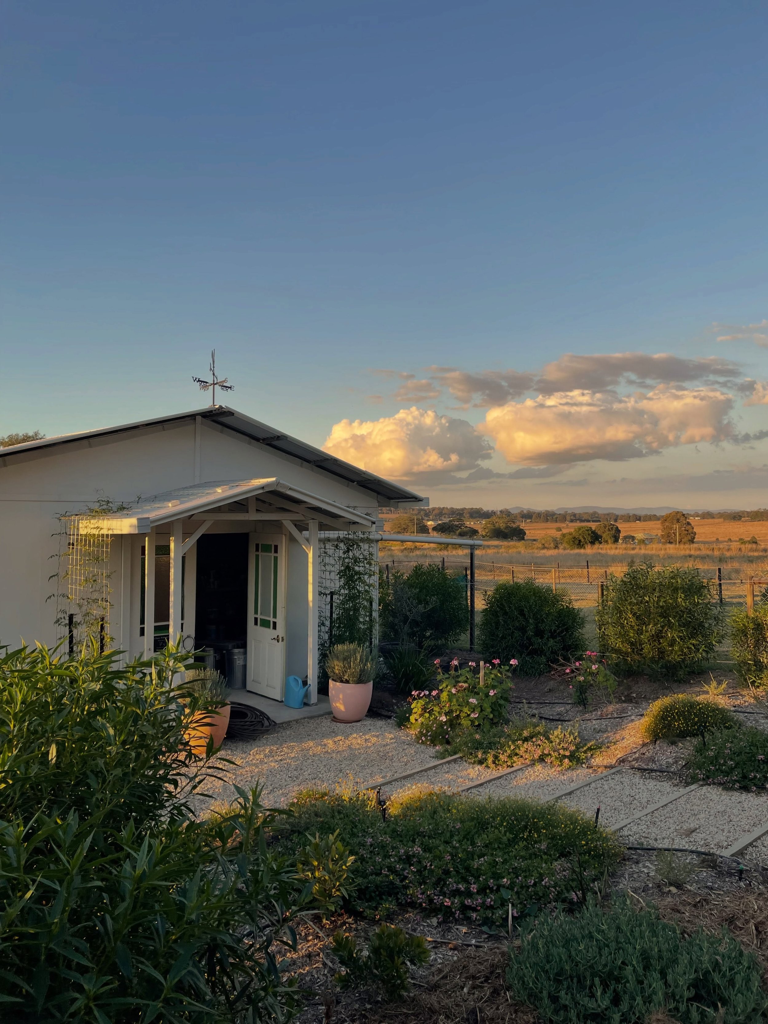 Postcards from the farm 💌 

The winter sun is glowing! July and August might be my favourite time of year on the farm. All of our natives are blooming 🌼

French doors are in at The Vine Hall and our Venue Booklets have arrived for Open Day! It&rsqu