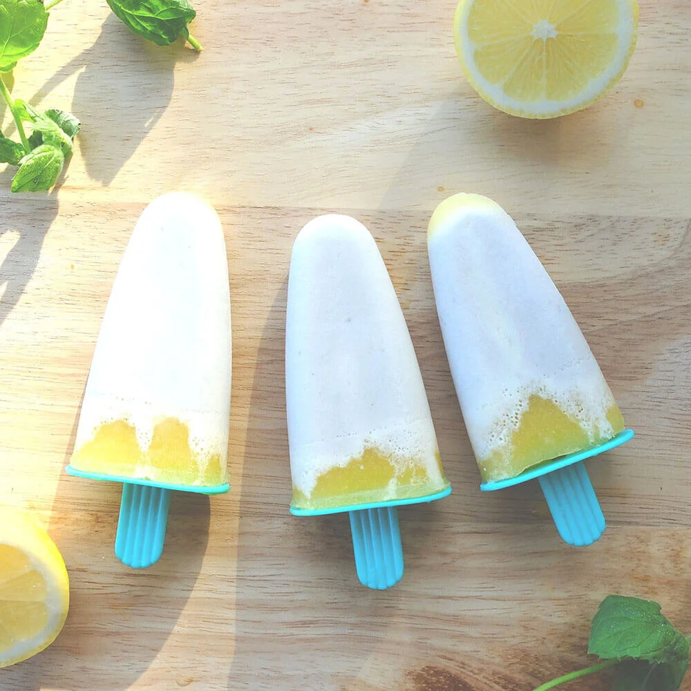 Home Made Fruit Ice Blocks Recipe