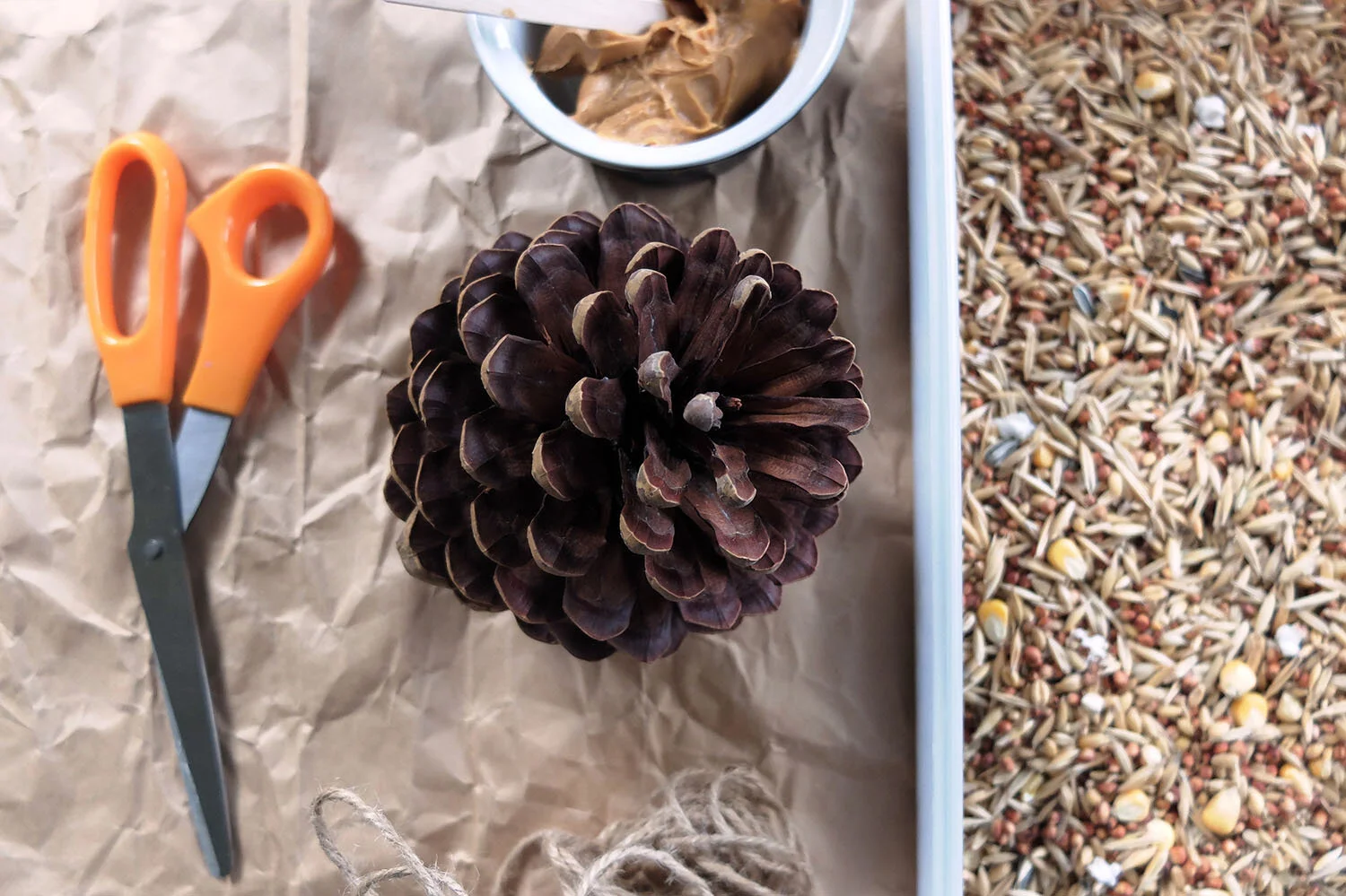 pine-cone-bird-feeder-what-you-need.jpg