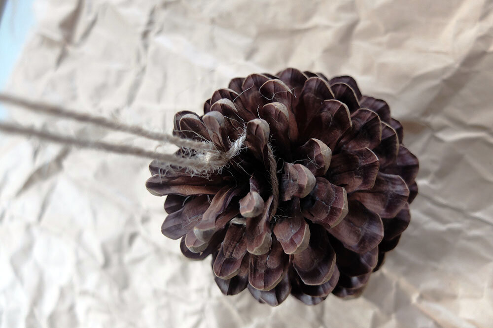 pine-cone-bird-feeder-add-string.jpg