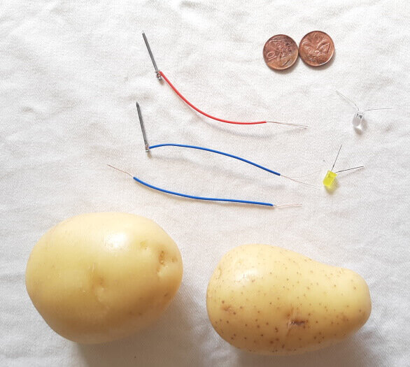 hvid udstødning vinkel How to make a Potato Powered Light - Science for Kids — Upstart Magazine