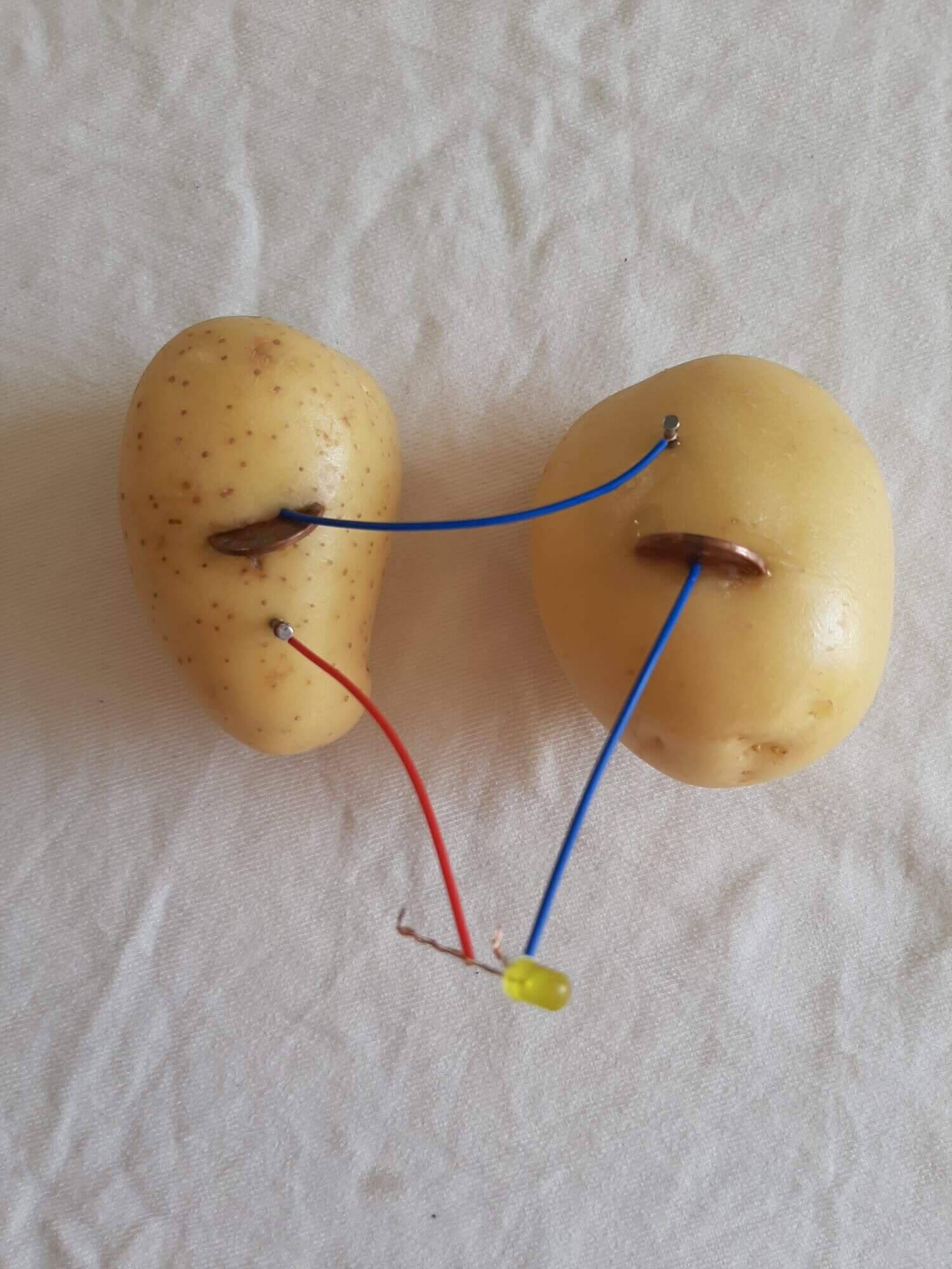 hvid udstødning vinkel How to make a Potato Powered Light - Science for Kids — Upstart Magazine