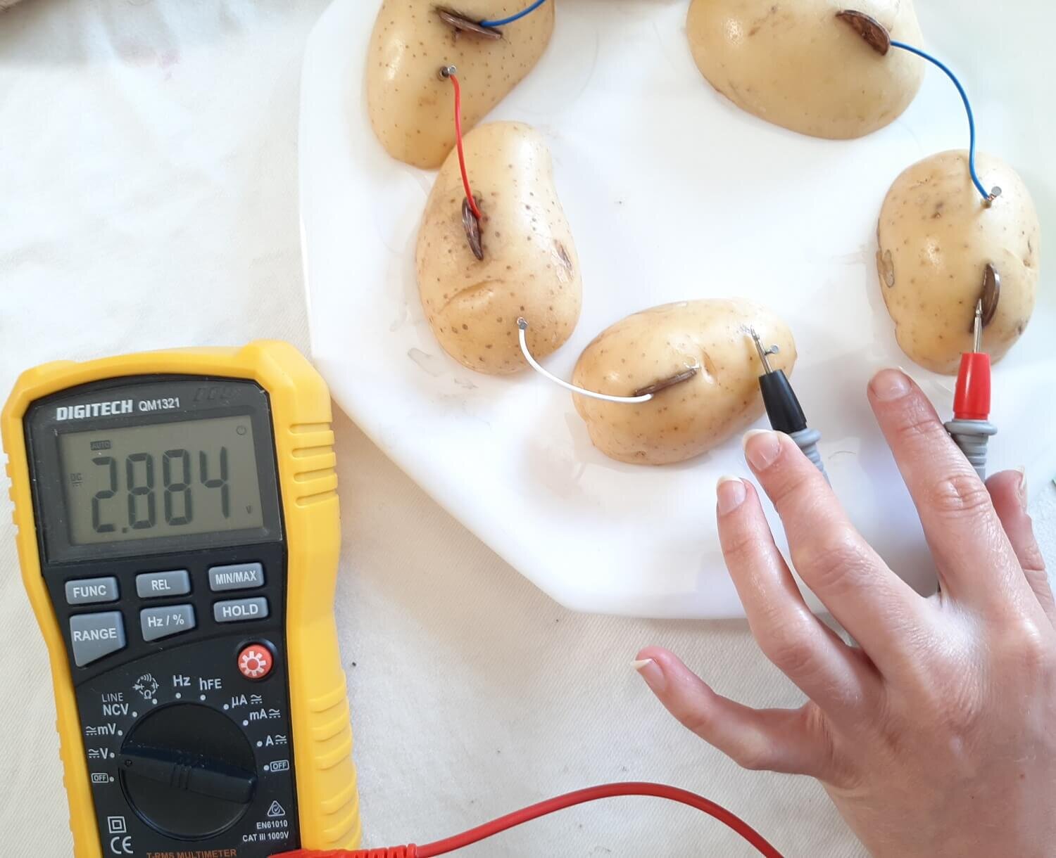 How To Make A Potato Powered Light