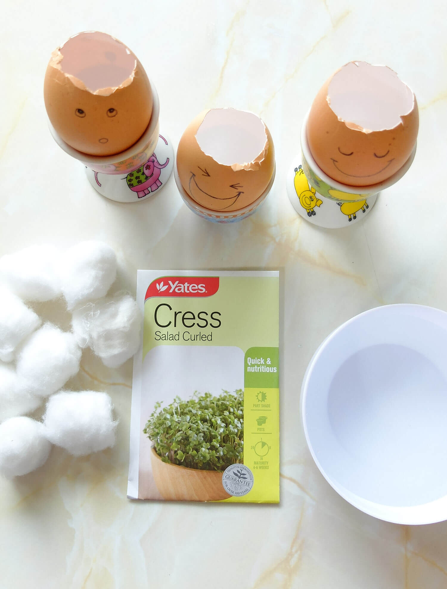 Eco-Kids Eco-Eggs Coloring and Grass Growing Kit