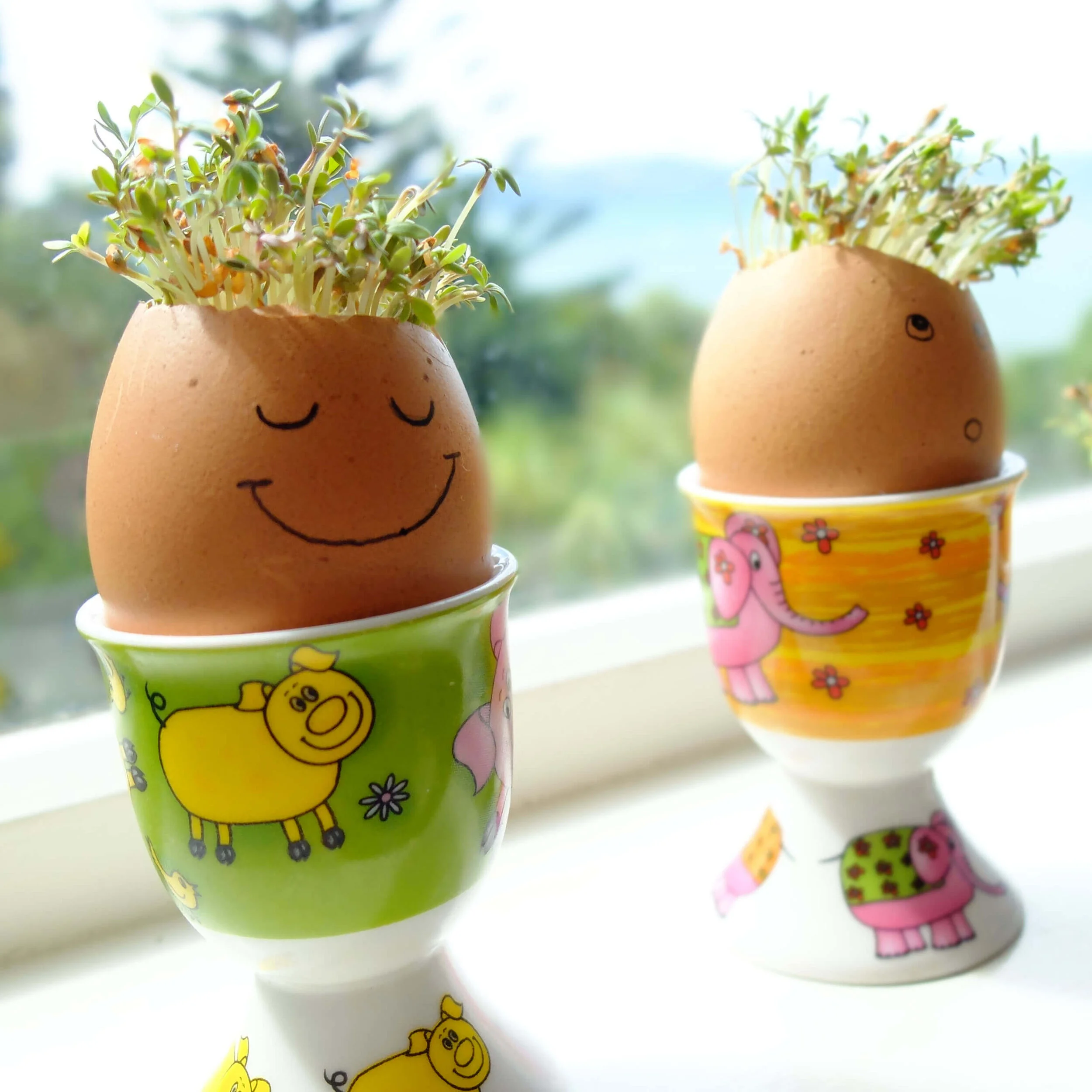 Grow Your Own Cress Egg Head