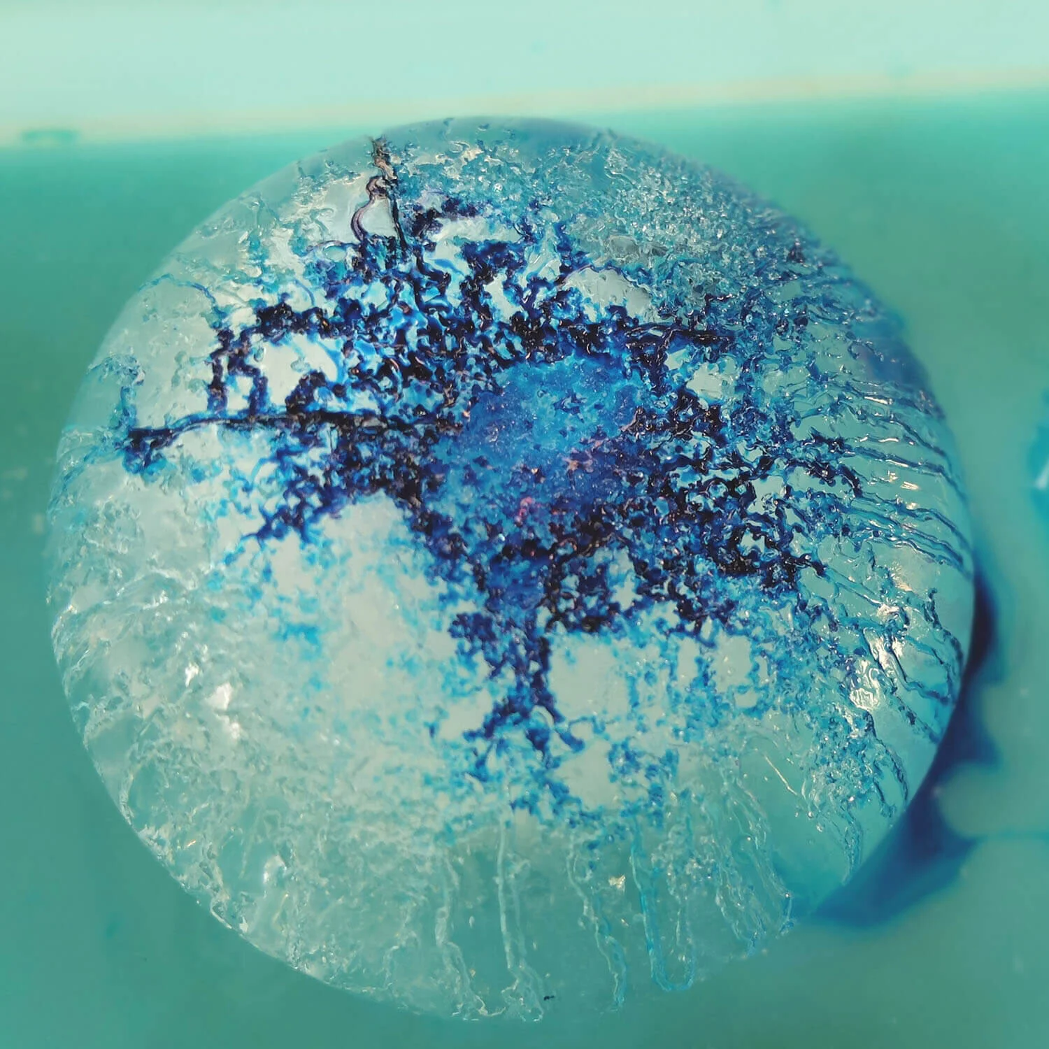 Coloured Ice Science Experiment