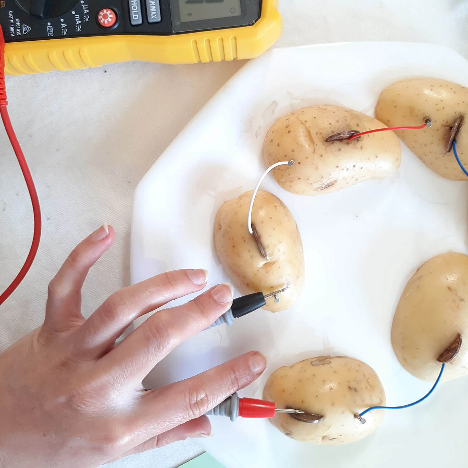 Potato Powered Light Experiment