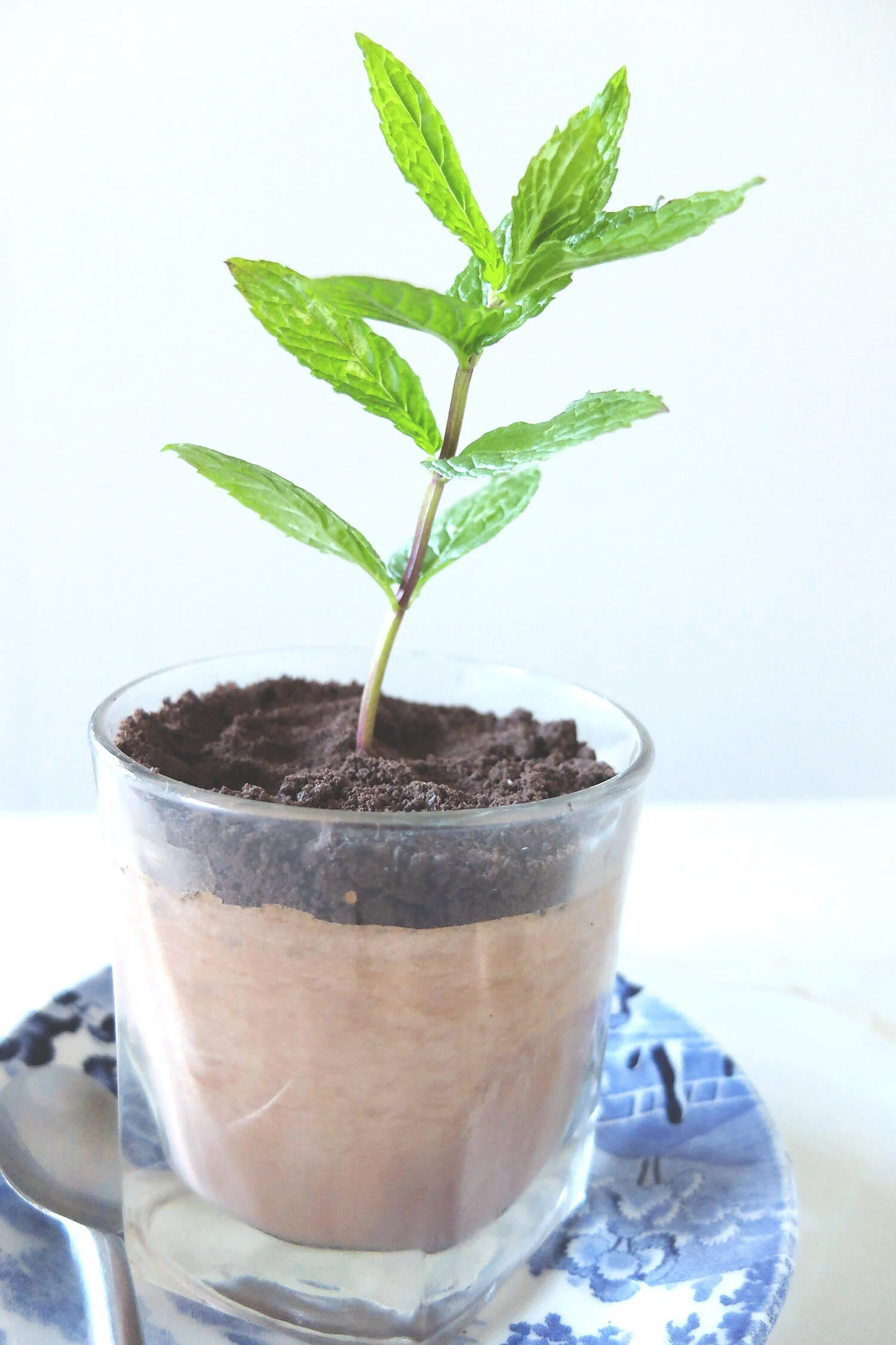 upstart-choc-pot-plant-recipe.jpg