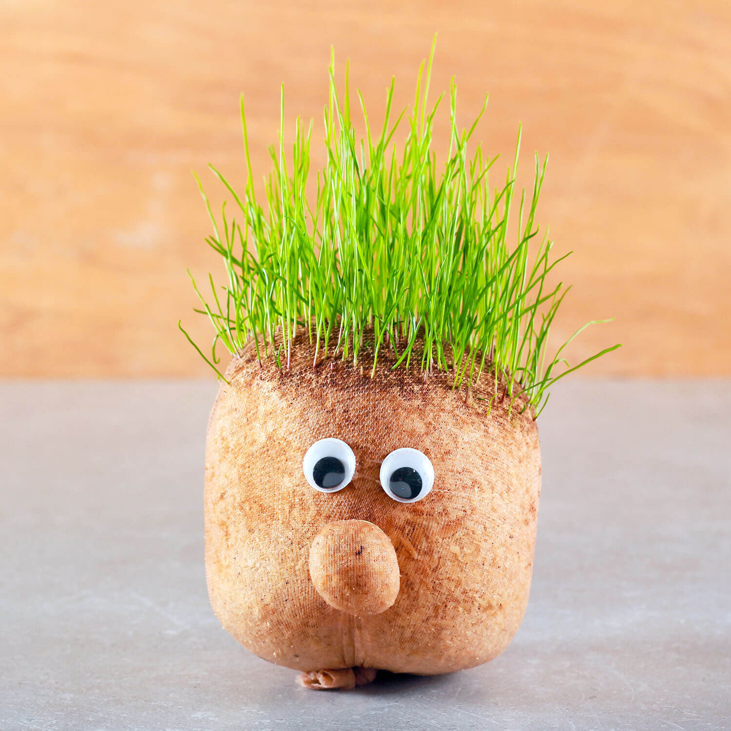 How to grow a Grass Head - Kids Crafts — Upstart Magazine