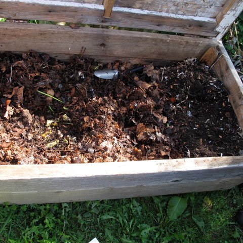 coffee grounds