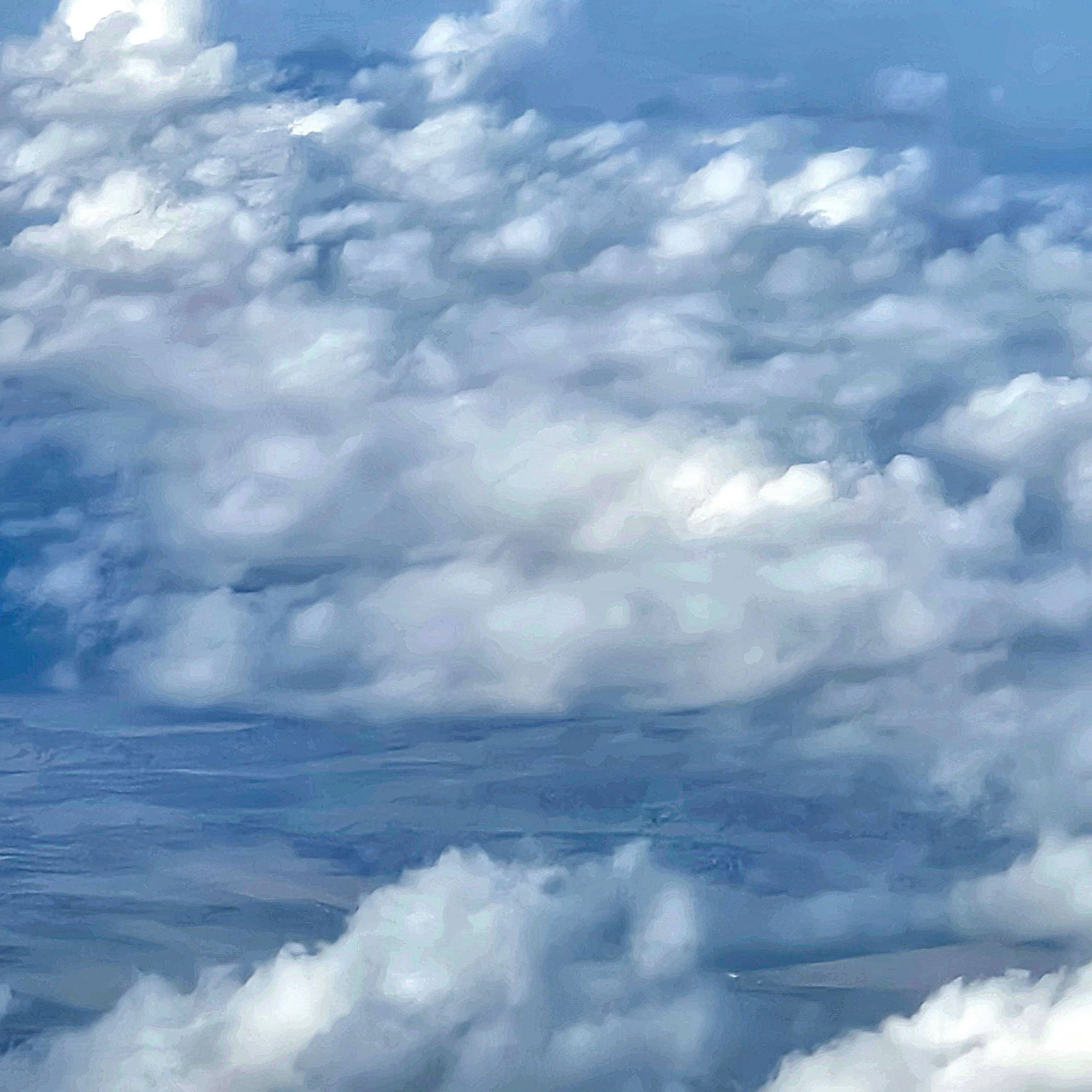 skydiver