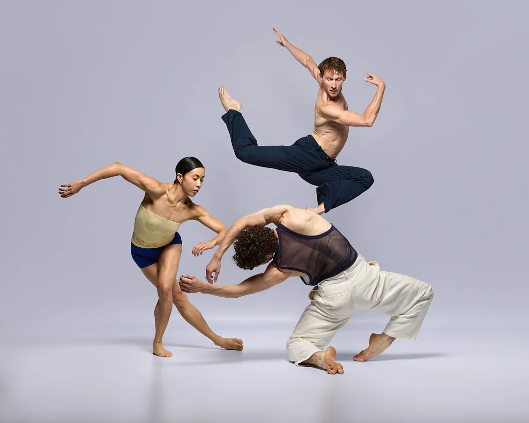 ✨️@gibneycompany✨️