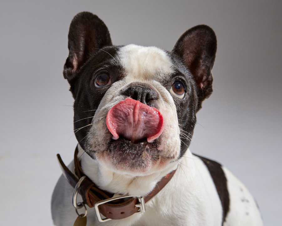 Tiffany  Yama11466-Edit.jpg