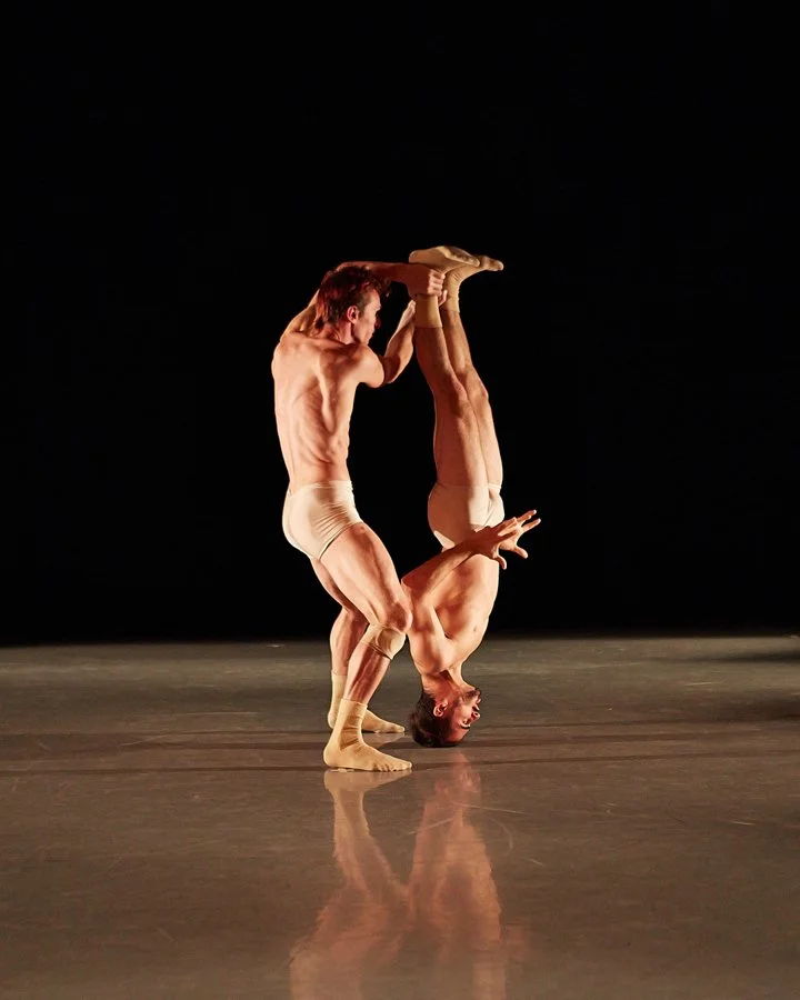 APAP_Program A_1501.jpg