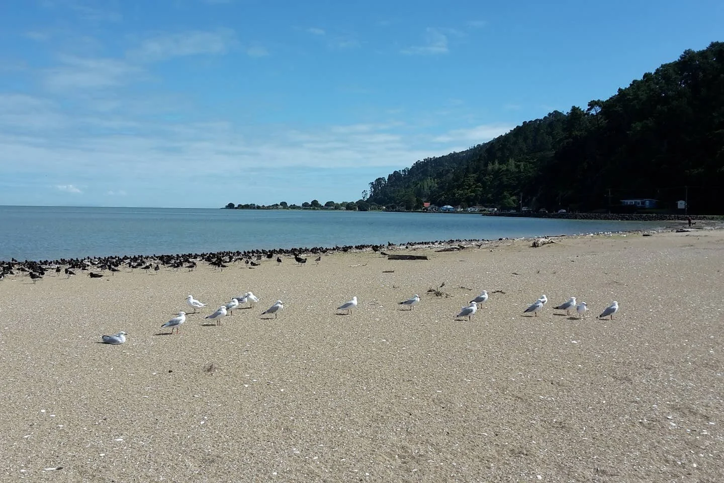 Beach across the road!
