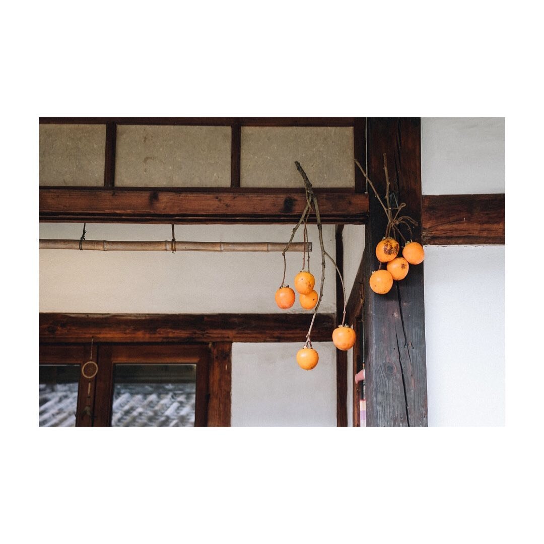 love all the different types of 감 aka persimmon:
단감 - sweet persimmon; sweet, soft yet firm, peel the skin to eat, i consider this the most basic version of the fruit
홍시 - ripened; superrrr soft and juicy, sweet, usually eaten with a spoon
곶감 - dried